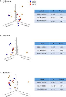 A Metagenomic Insight Into the Hindgut Microbiota and Their Metabolites for Dairy Goats Fed Different Rumen Degradable Starch